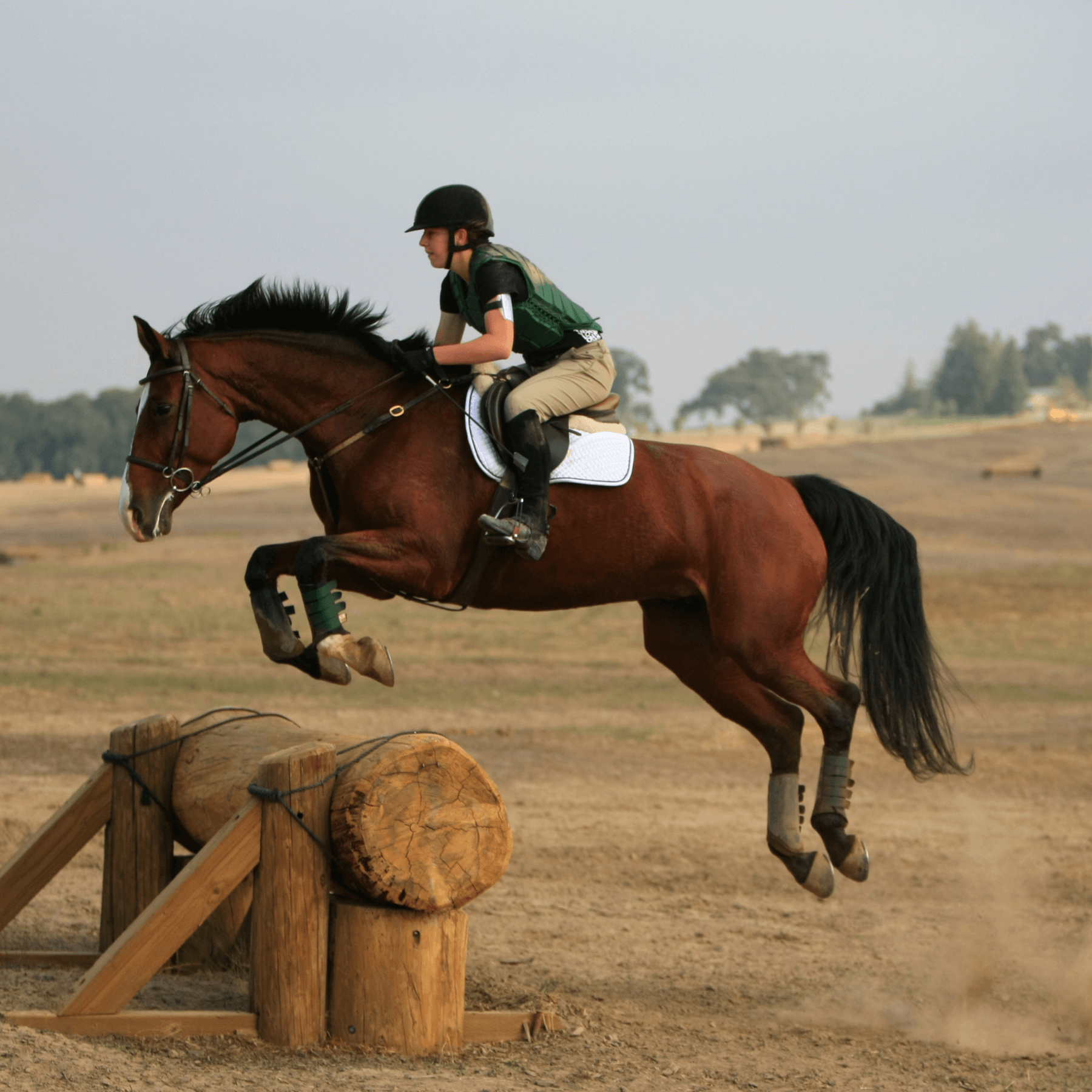 alt text = "horse and jockey jump over log fence"