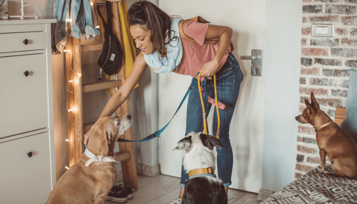 alt="South Florida dog walker putting leashes on her dog clients."